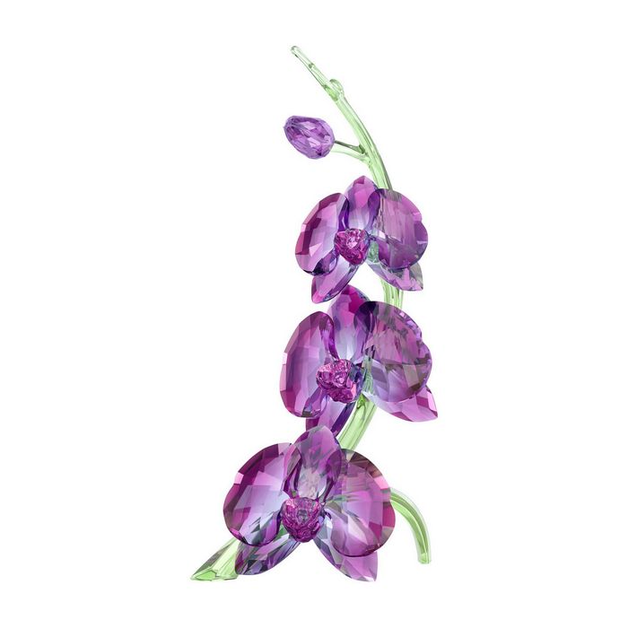 swarovski orchidee 5243561