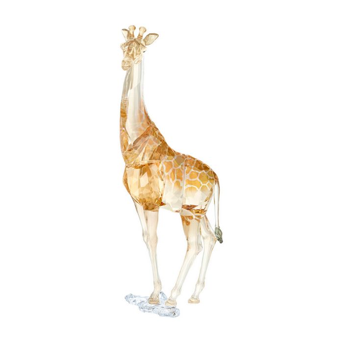 SCS Edizione Annuale 2018 Giraffa Mudiwa