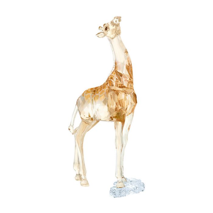 swarovski scs baby giraffa 5302151